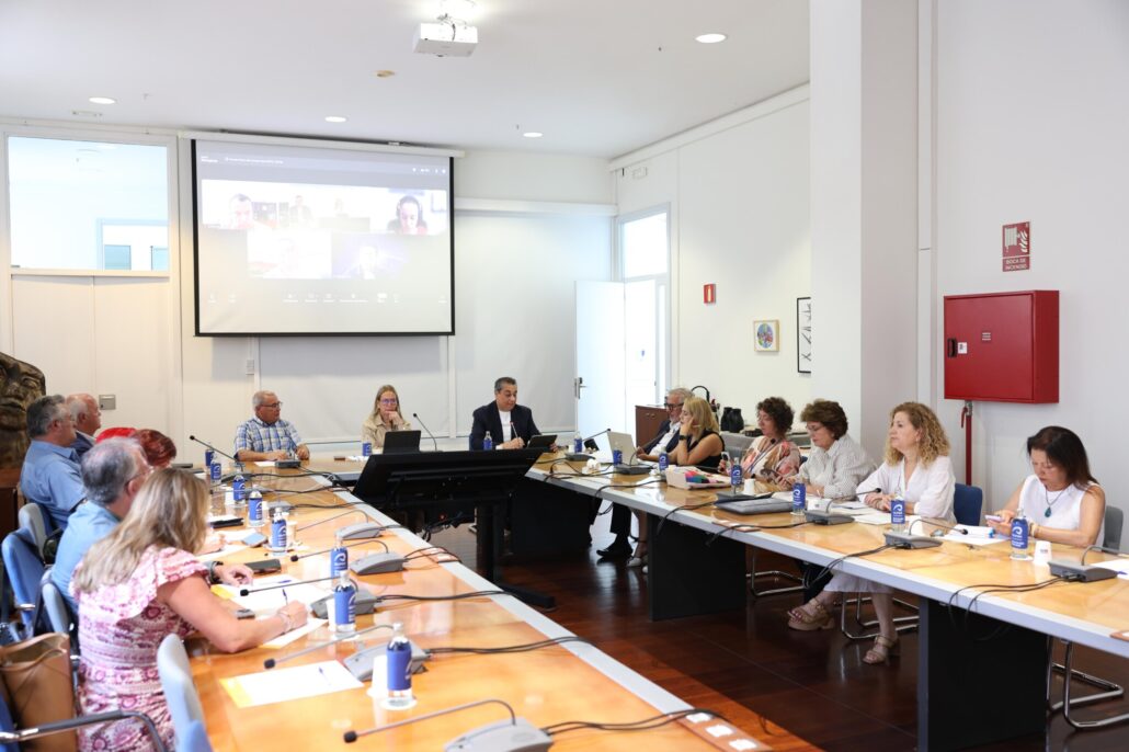 pleno 23 julio 26